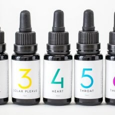 'Rainbow Organic' Essential Oil Set - Includes All 7 Blends